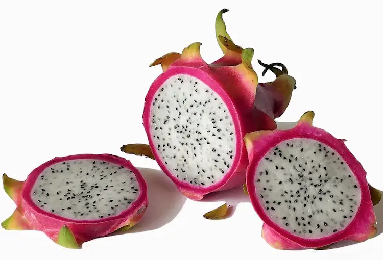 Dragon Fruit Info