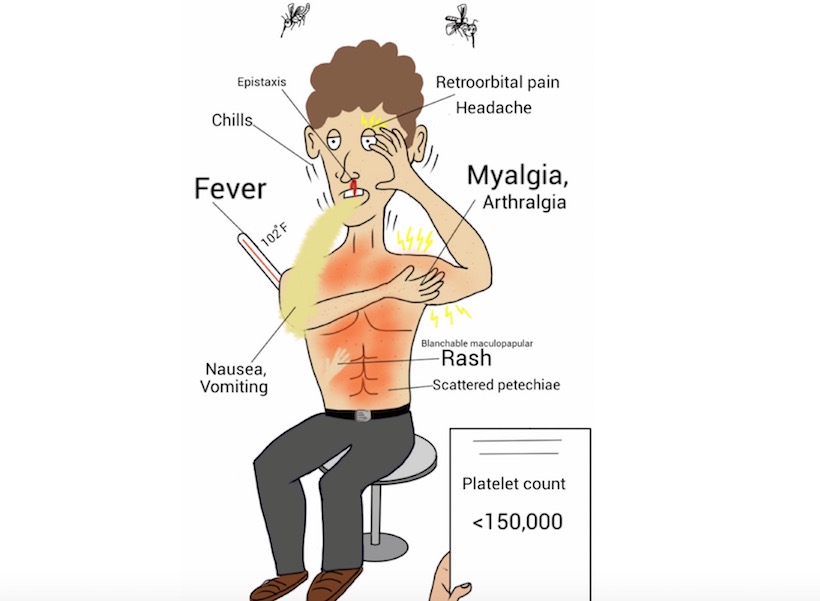 symptoms of dengue in marathi