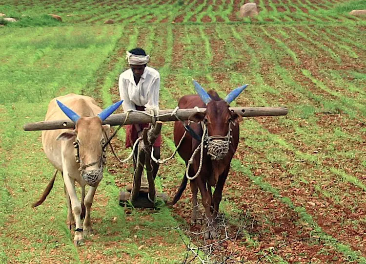farmer essay in marathi