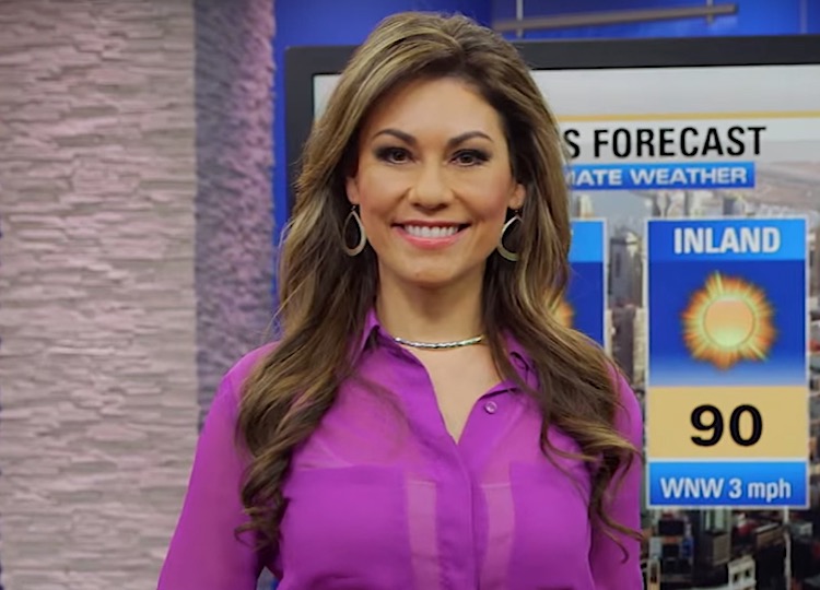 Kimi Evans Bio Age Birthday Wikipedia Weather Married Abc7