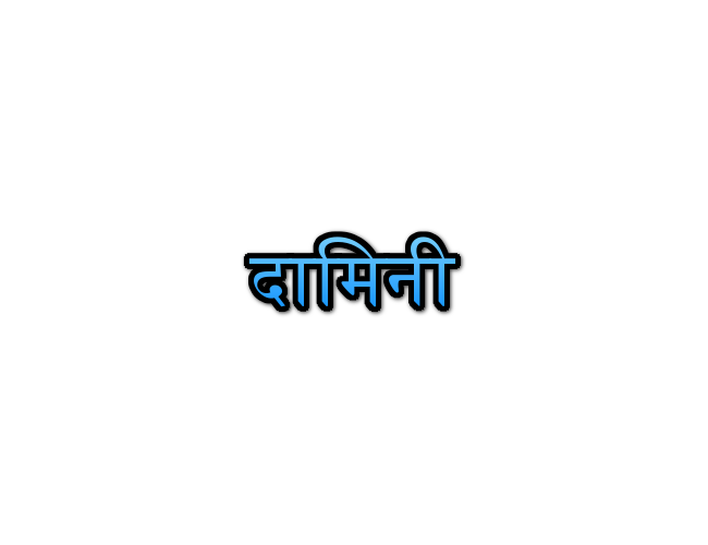 Damini Image